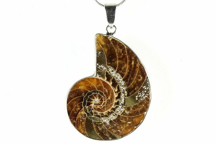 Fossil Nautilus Pendant - Million Years Old #306509